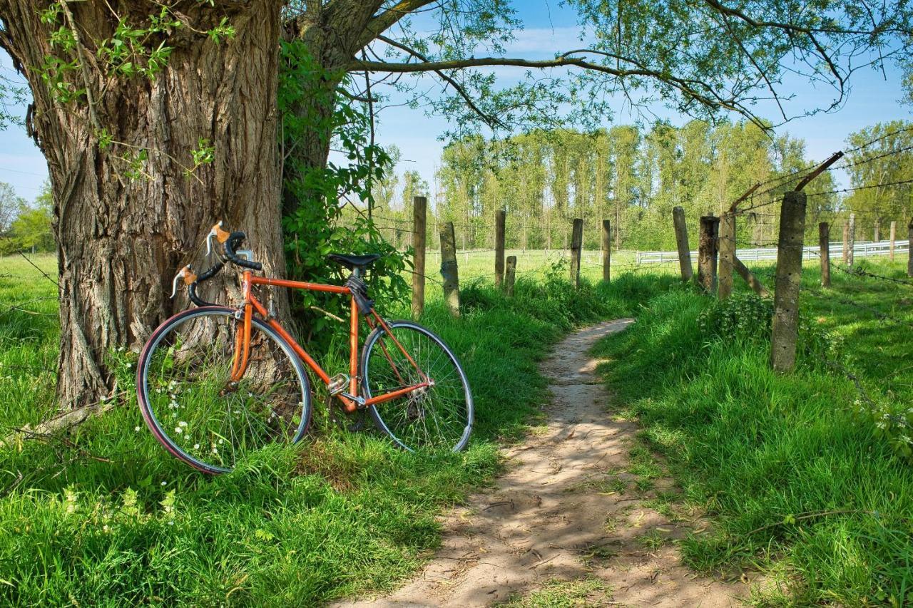 Larbrenville Gites Citadins En Centre-Ville Historique La Charité-sur-Loire Eksteriør bilde